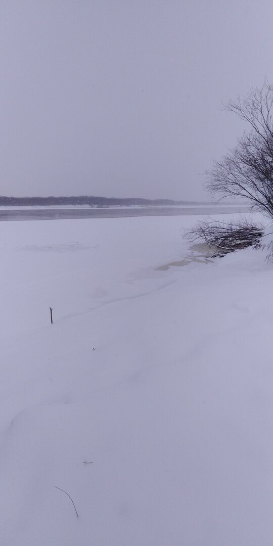 IMG_20231110_105243.jpg