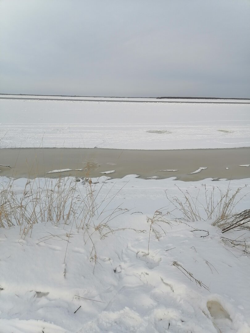 IMG_20231207_150217.jpg