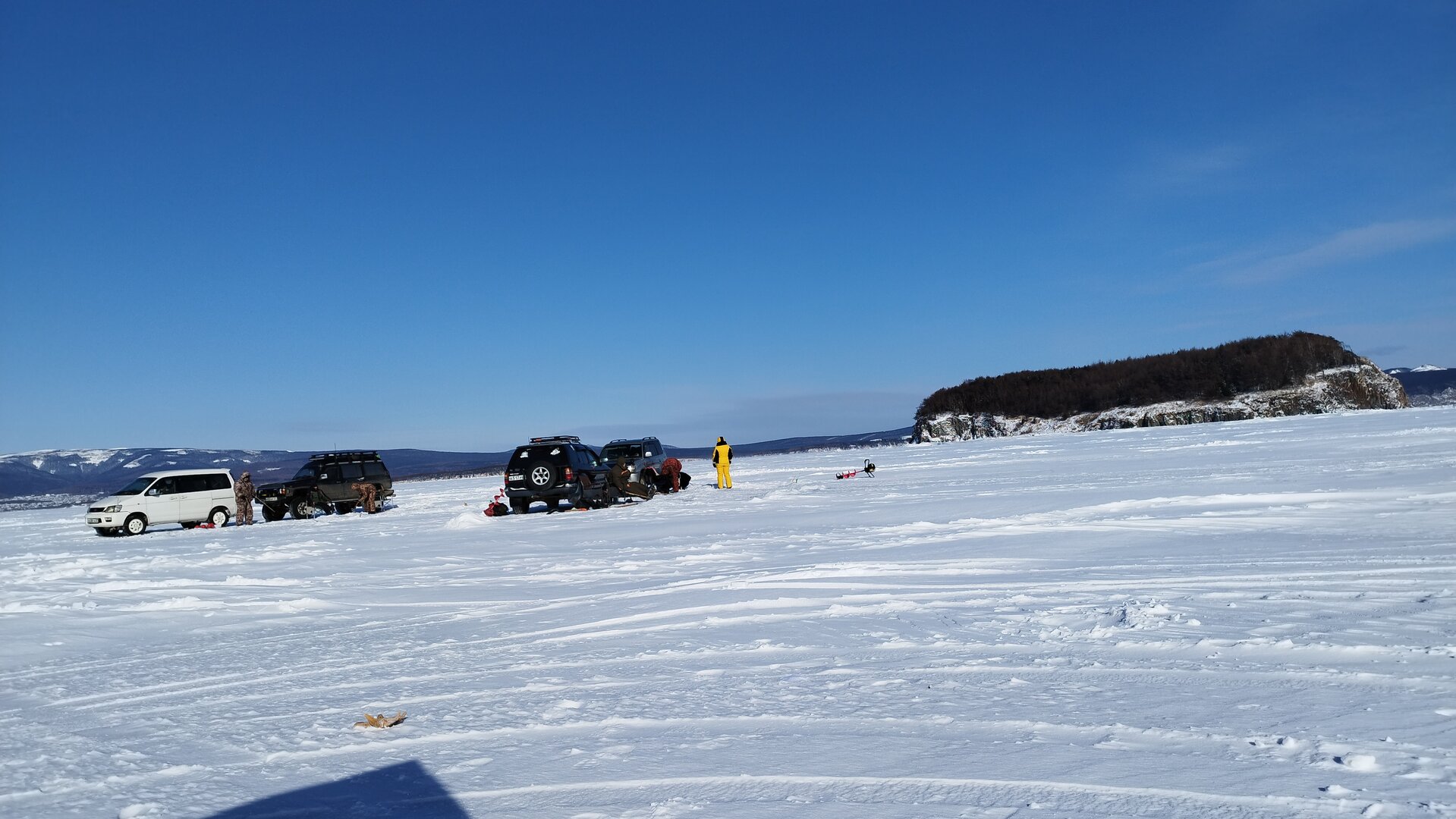 IMG_20240222_112234.jpg