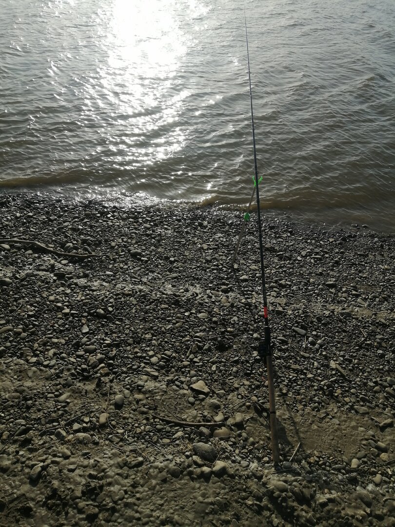 IMG_20240422_074620.jpg
