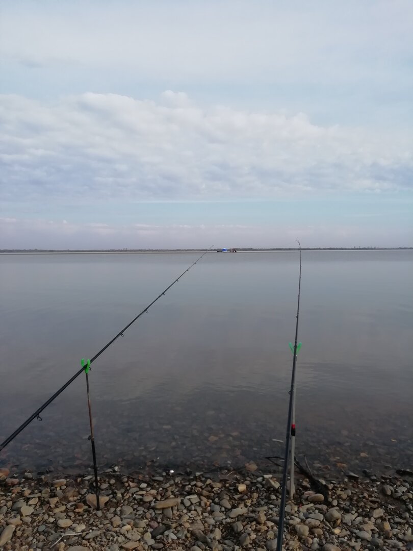 IMG_20240430_081540.jpg