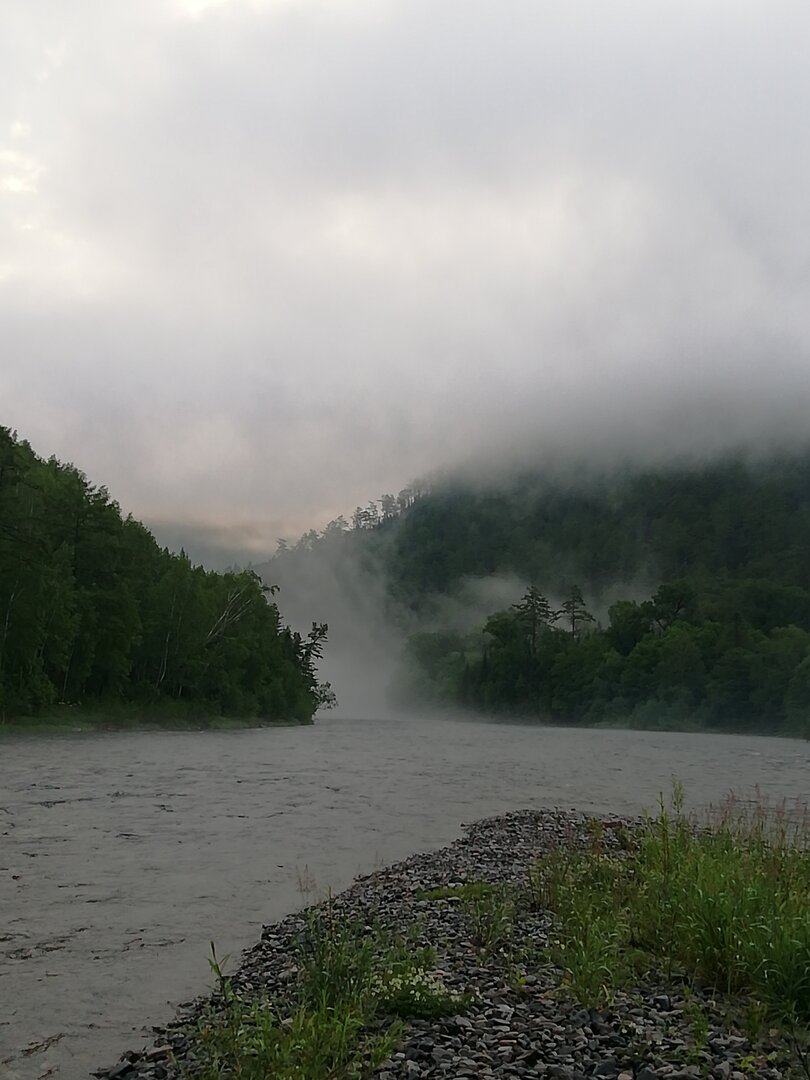 IMG_20240629_050408.jpg