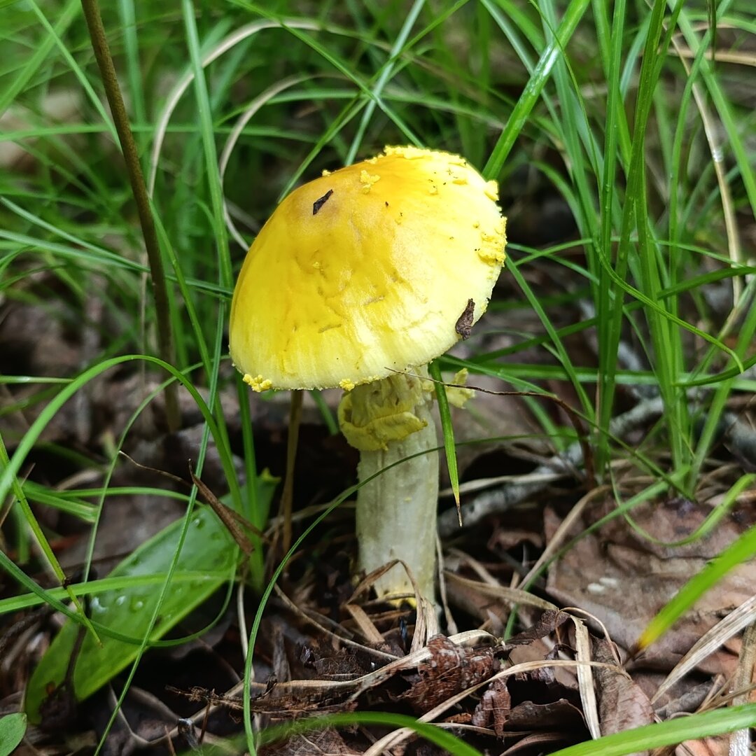 IMG_20240706_125650.jpg