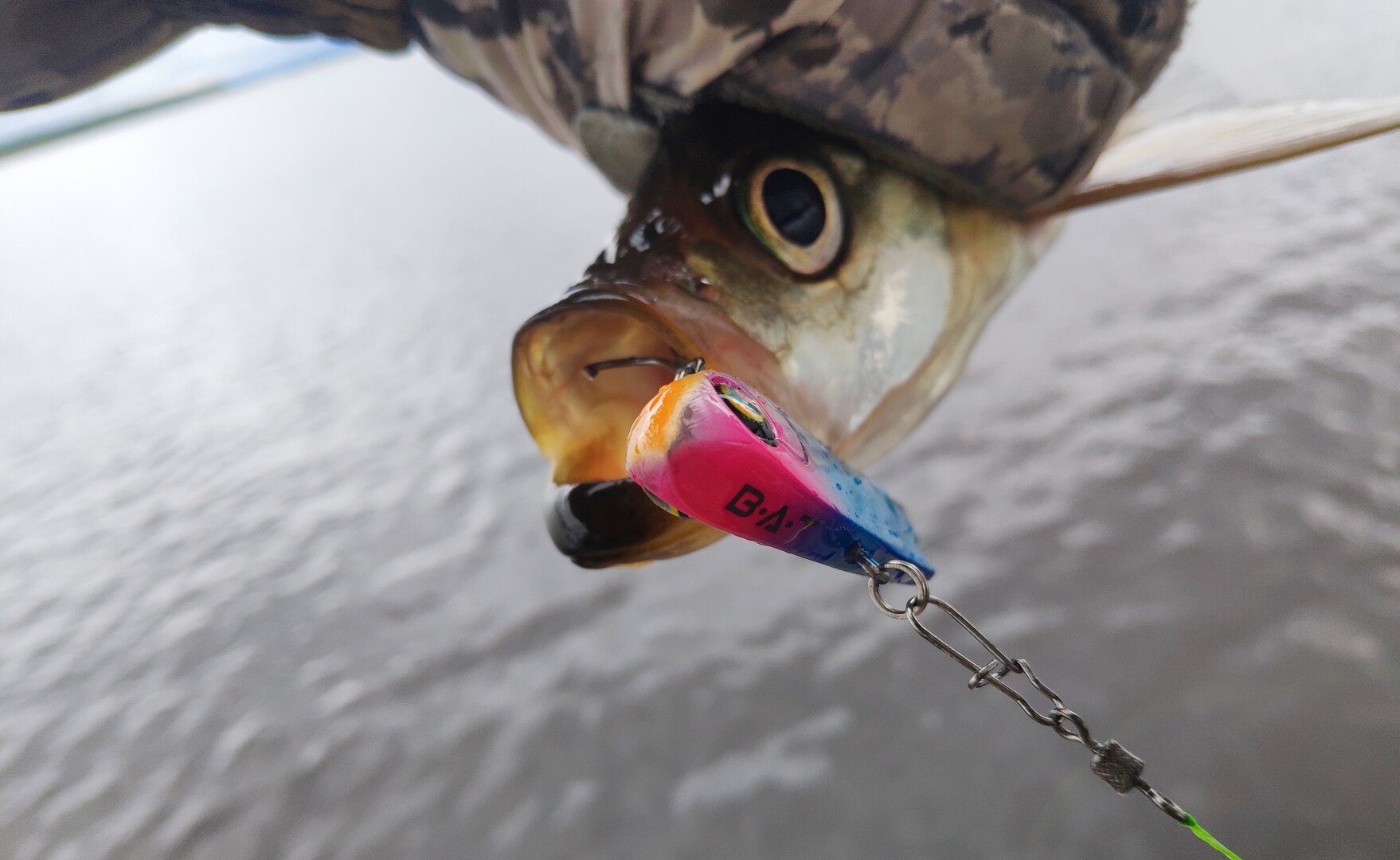 IMG_20240712_160903.jpg IMG_20240712_160903.jpg