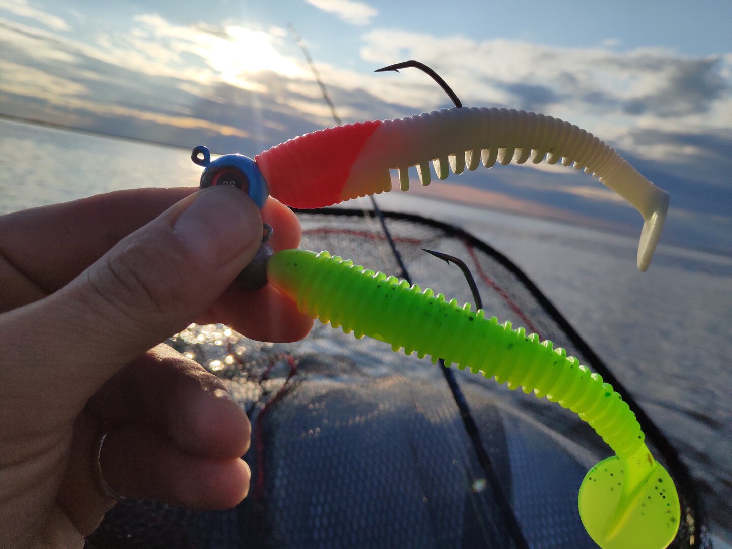 IMG_20240713_194523.jpg IMG_20240713_194523.jpg