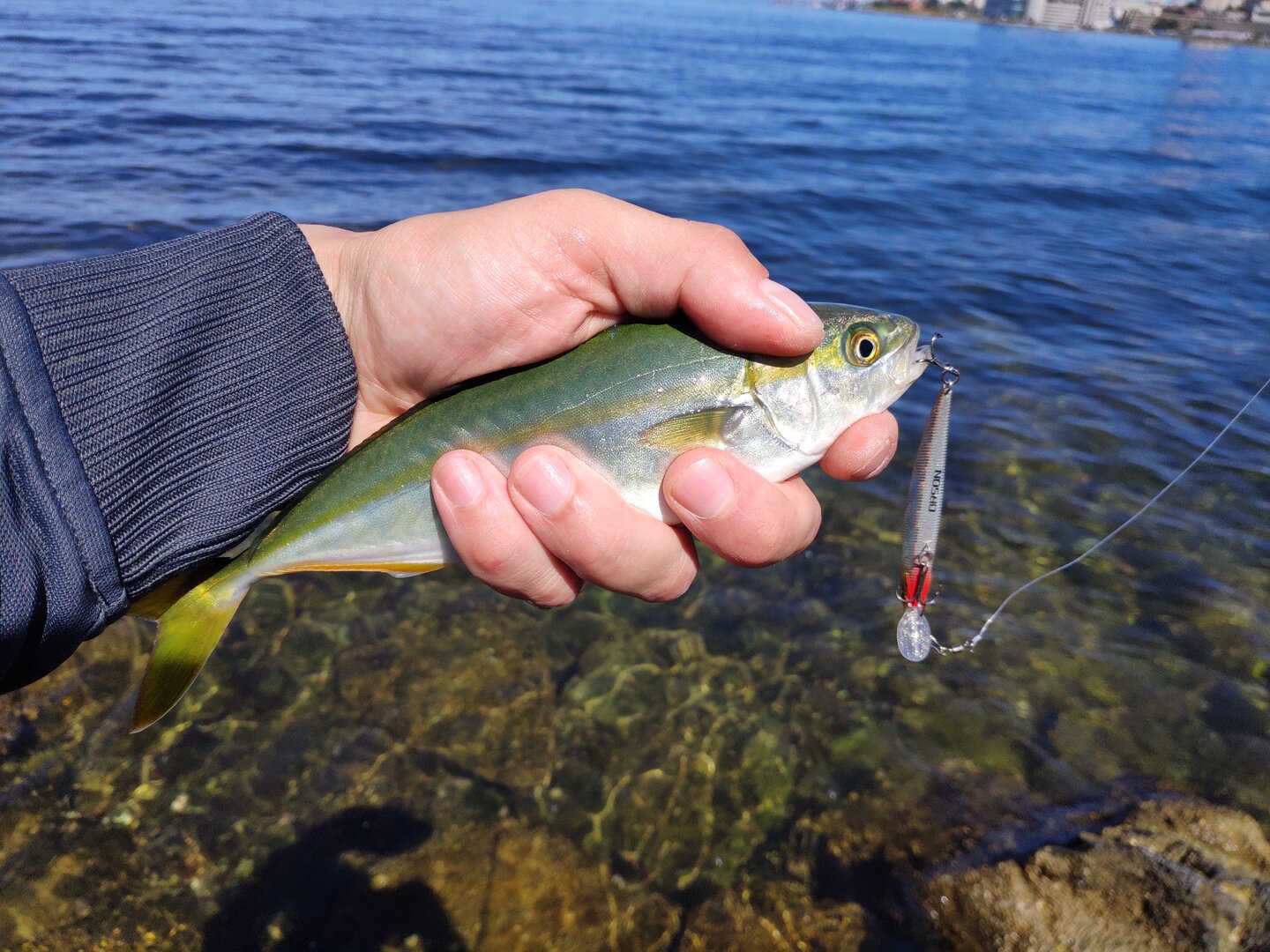 IMG_20240912_125320.jpg