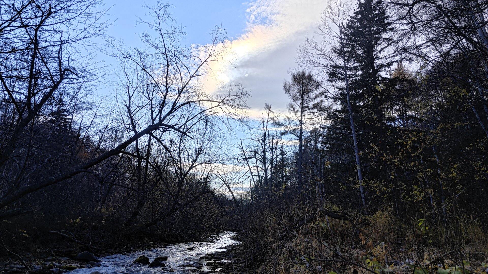 IMG_20241012_103323.jpg