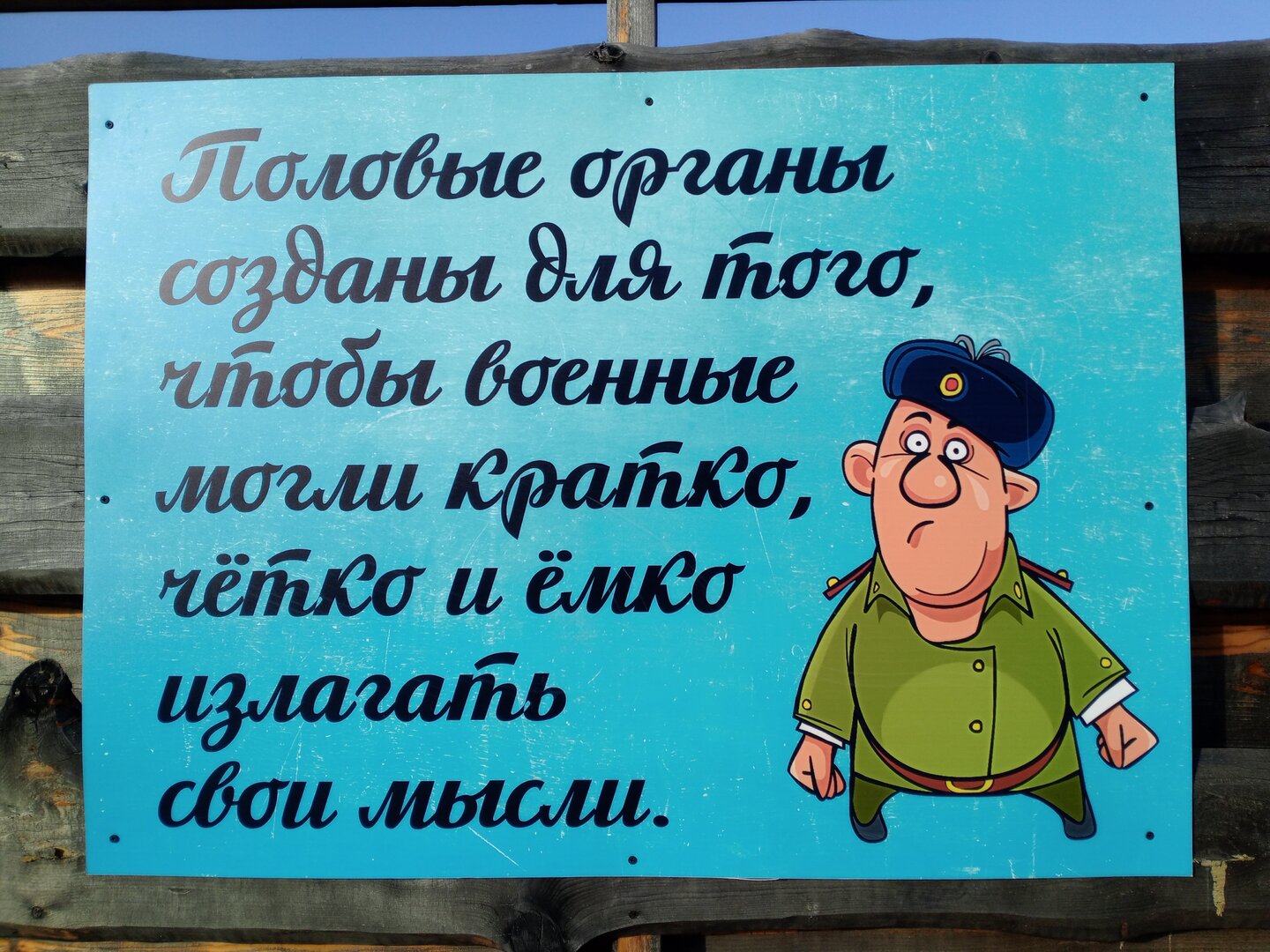 IMG_20241118_144023_763.jpg