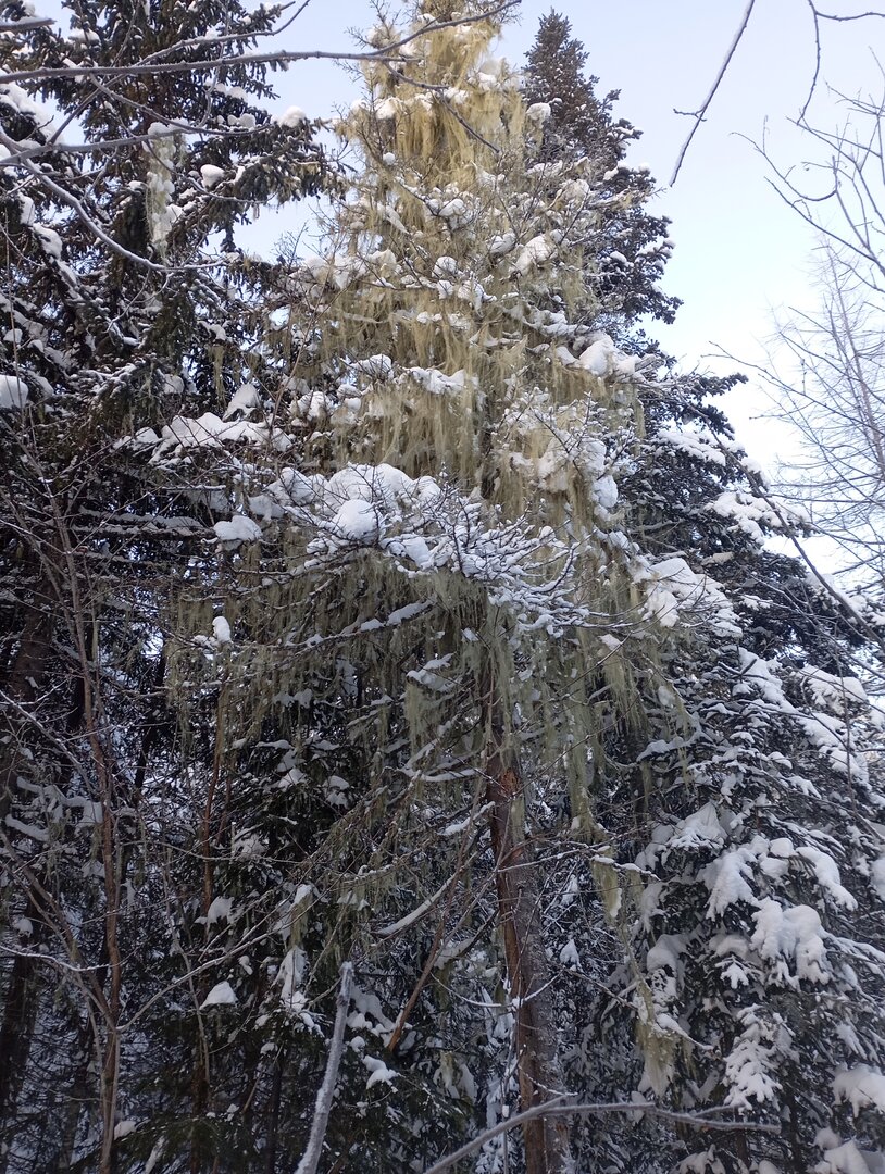 IMG_20241215_100048.jpg