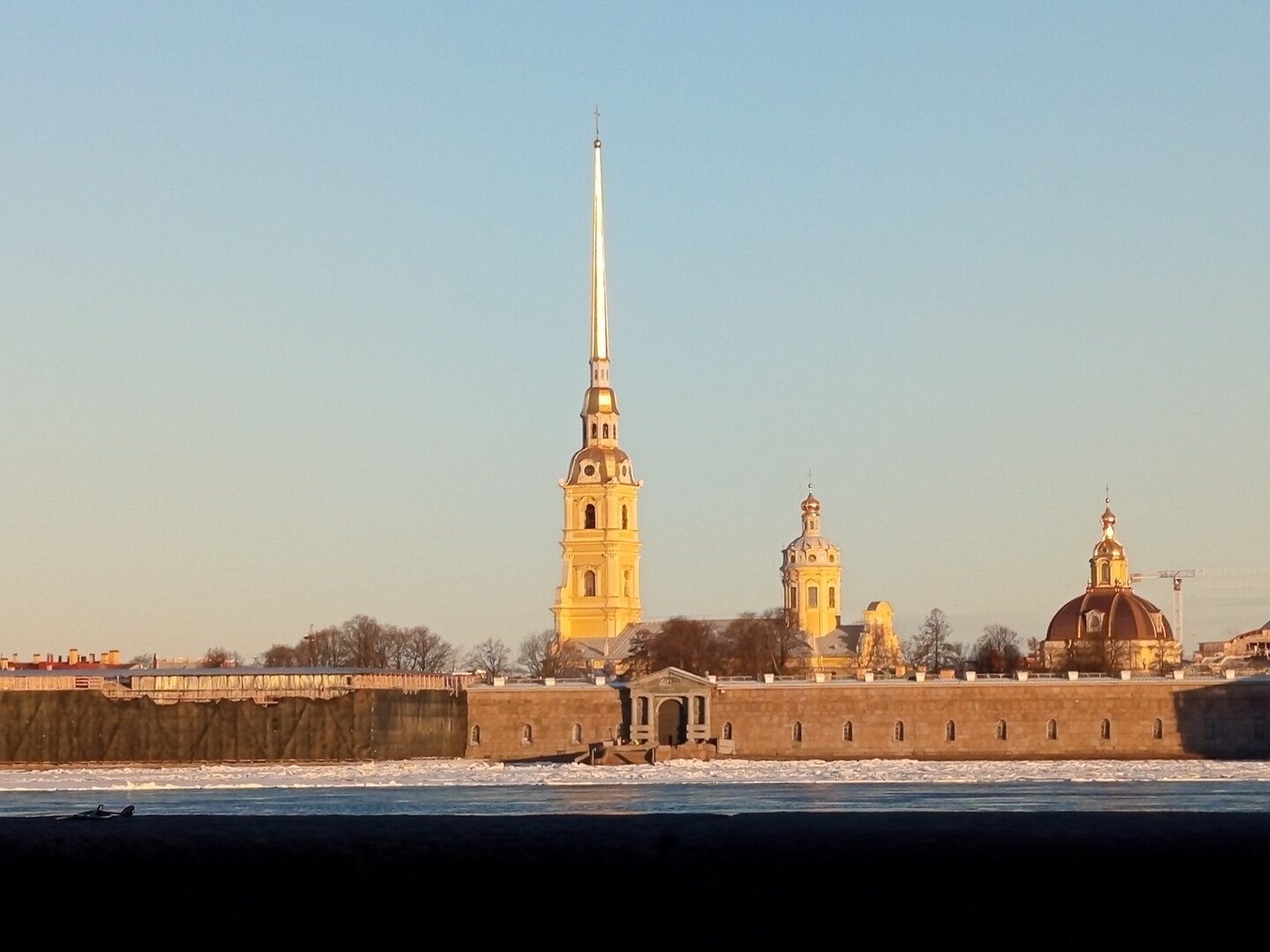 IMG_20250317_074321.jpg