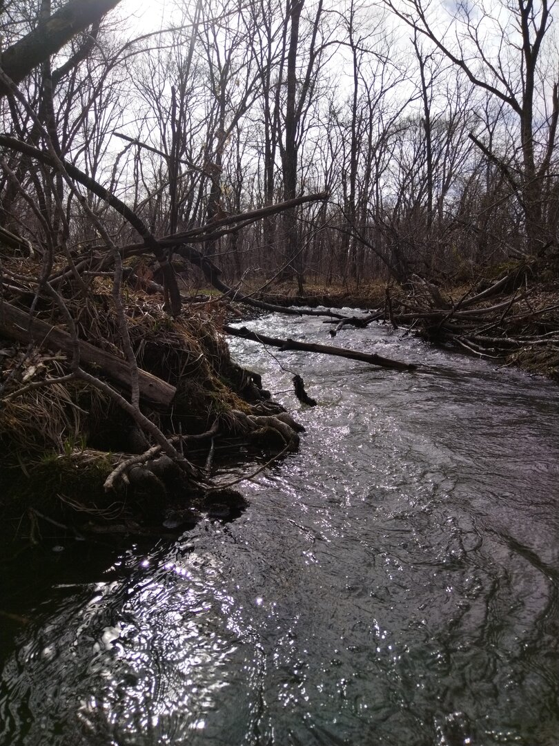 IMG_20250421_094000.jpg