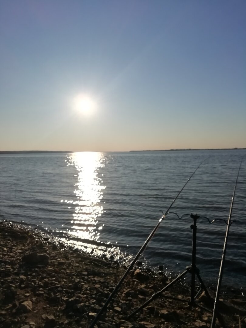 IMG_20250510_191115.jpg