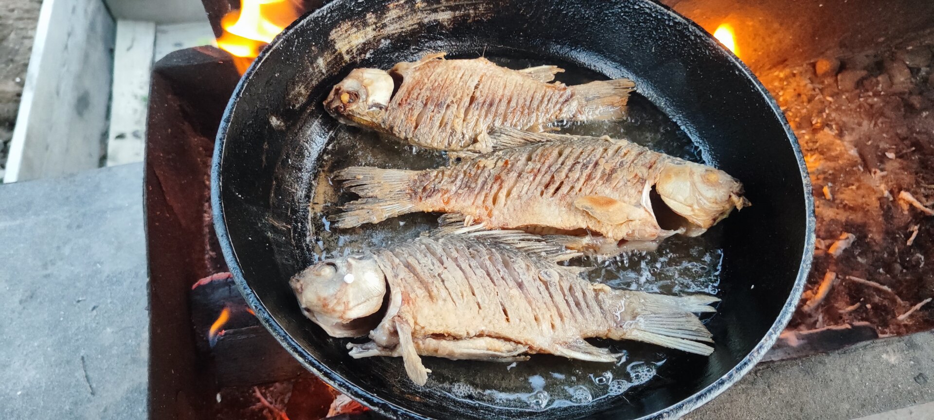 IMG_20250513_201258.jpg
