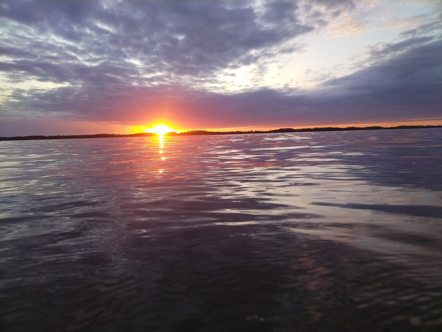 IMG_20250524_203505.jpg