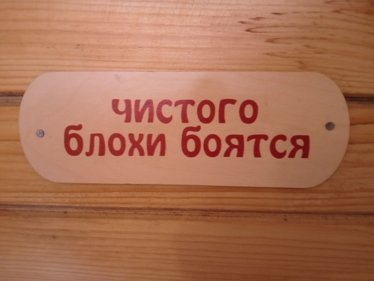 IMG_20250525_190132_797.jpg