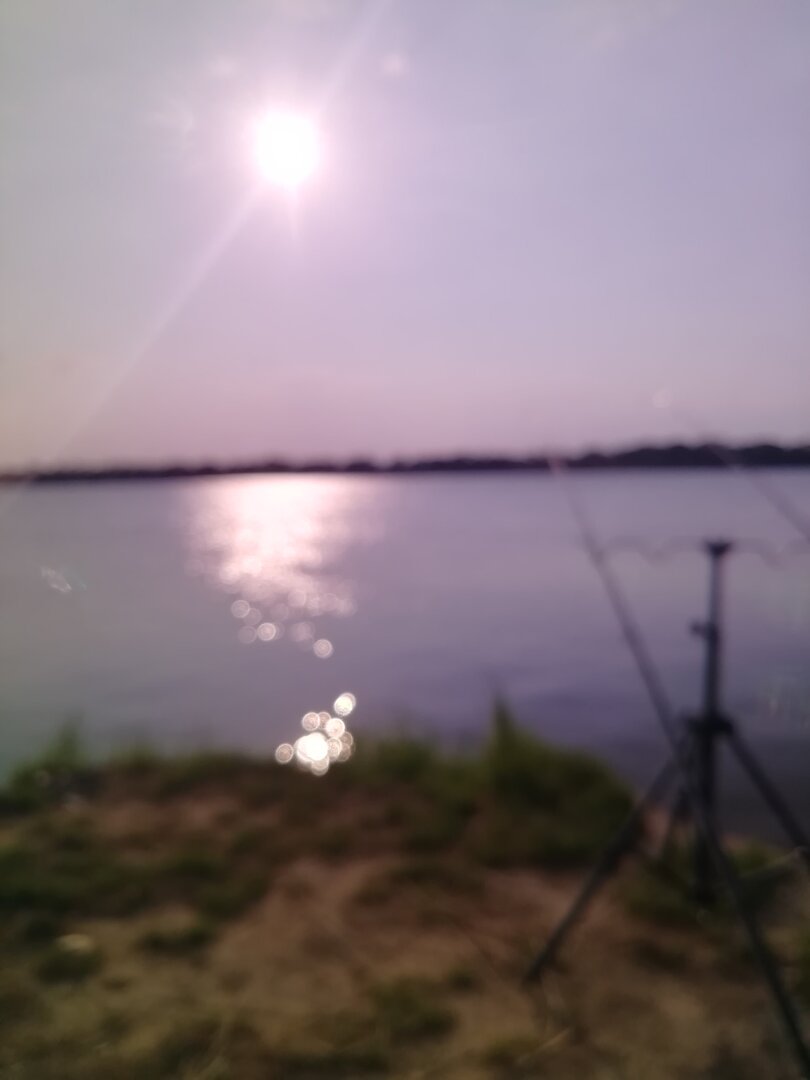 IMG_20250602_183425.jpg