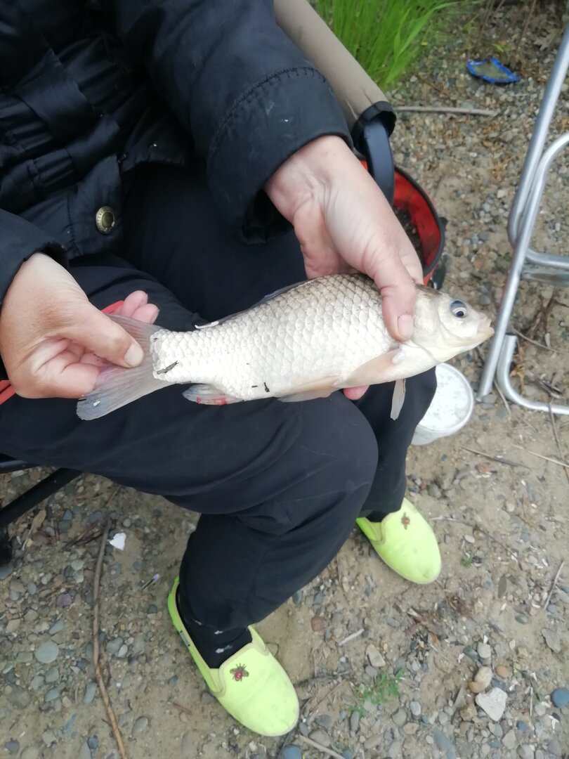 IMG_20250604_185945.jpg