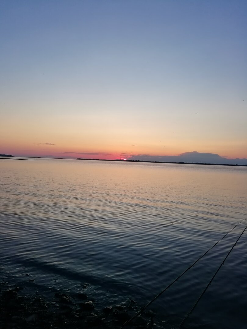 IMG_20250611_205420.jpg
