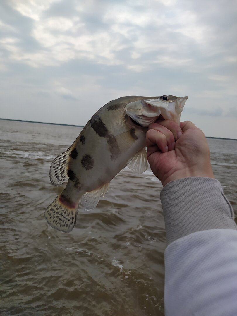 IMG_20250614_144814.jpg