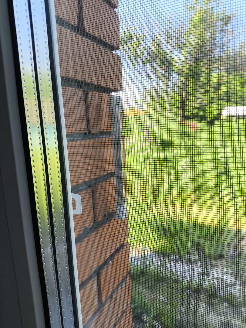 IMG_20250628_171936.jpg