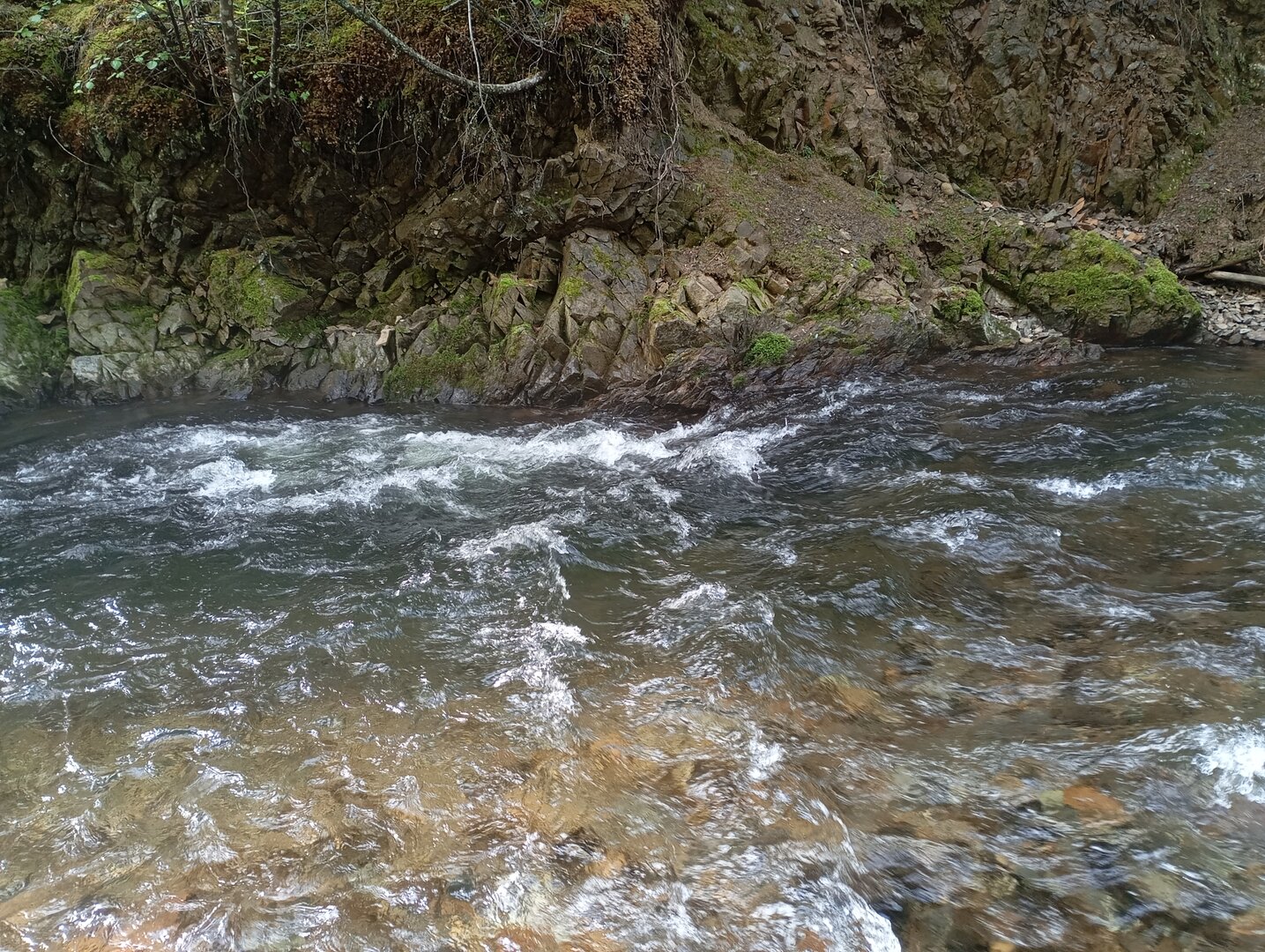 IMG_20250705_091028.jpg