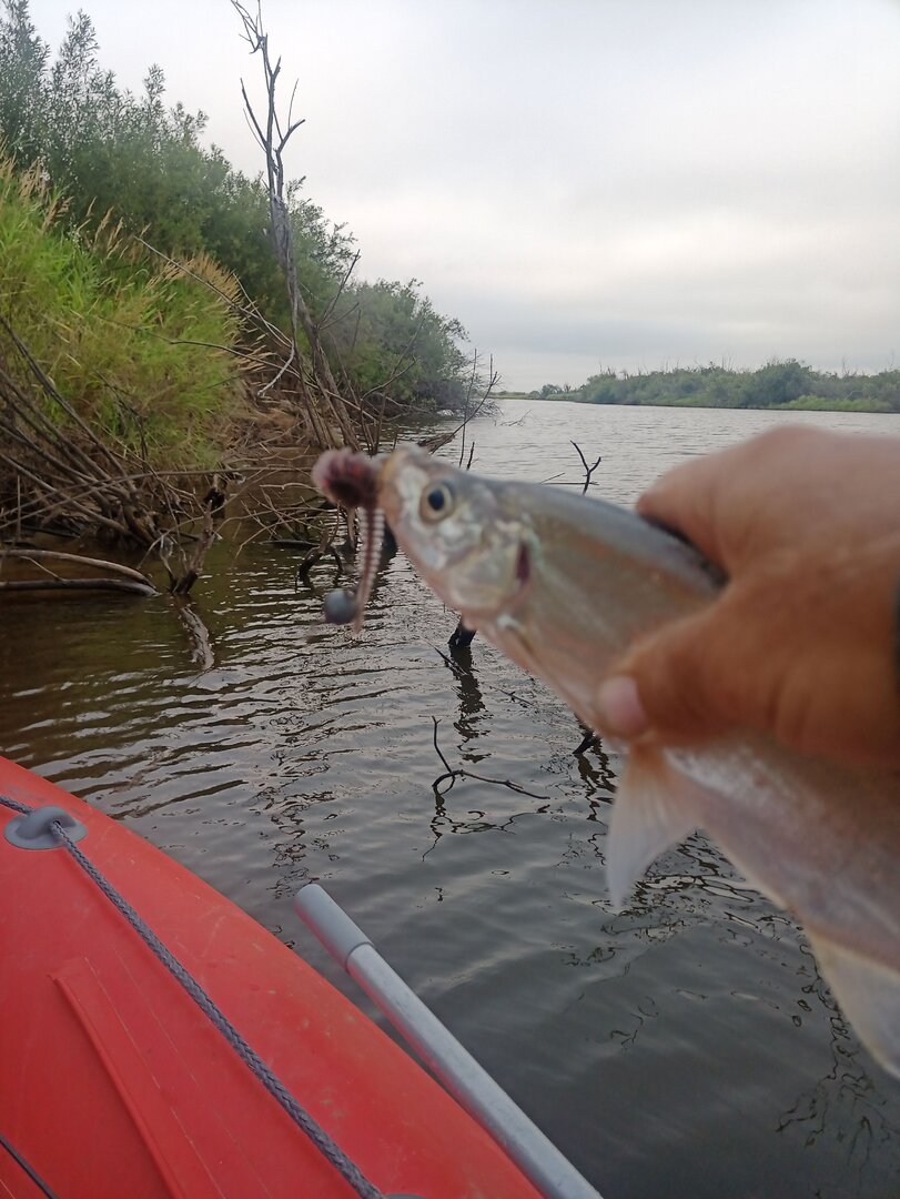 IMG_20250729_073135_706.jpg