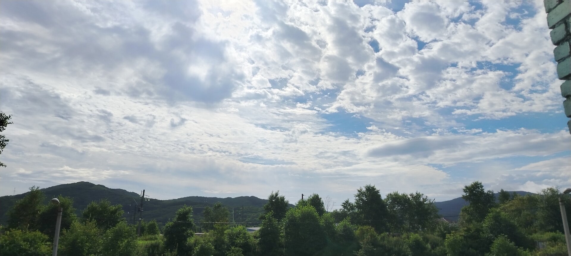 IMG_20250804_091846.jpg