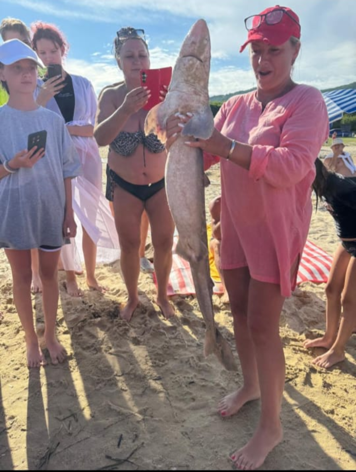 IMG_20250818_094733.png