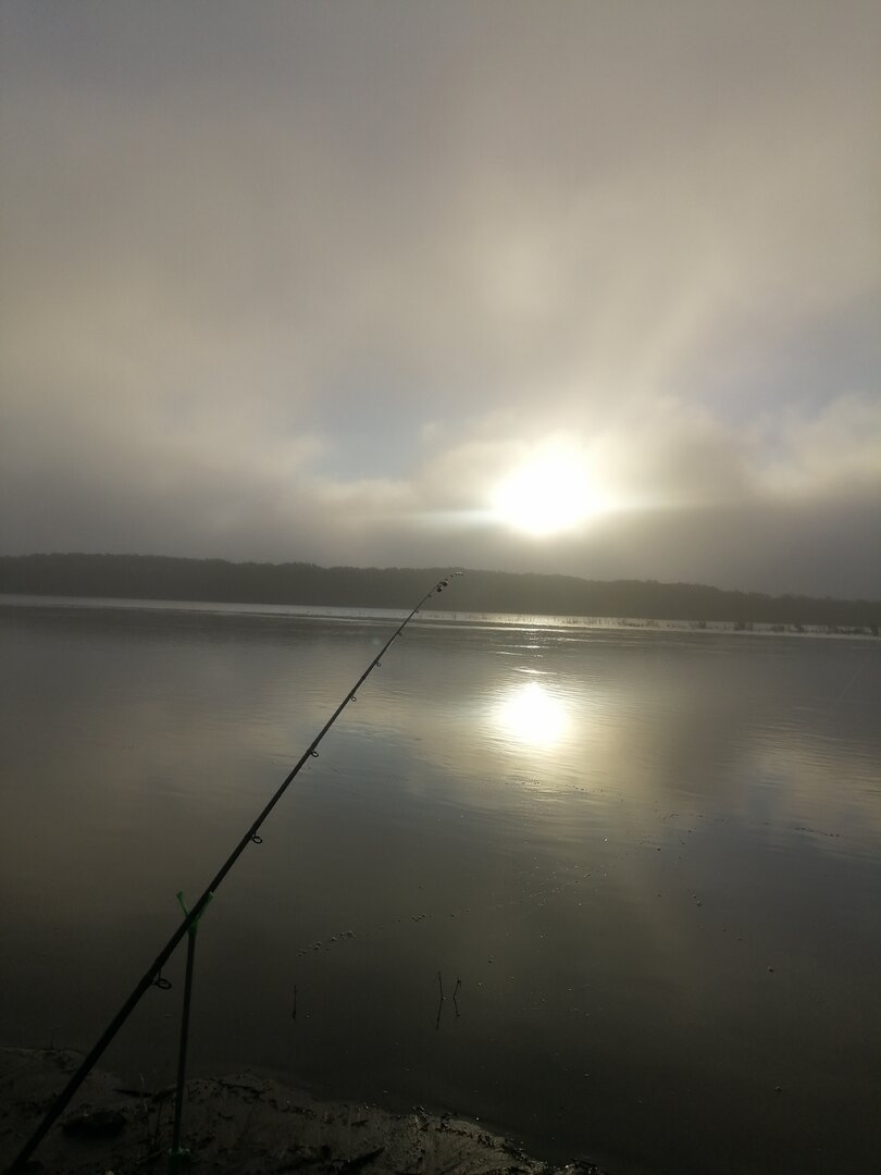 IMG_20250831_065645.jpg