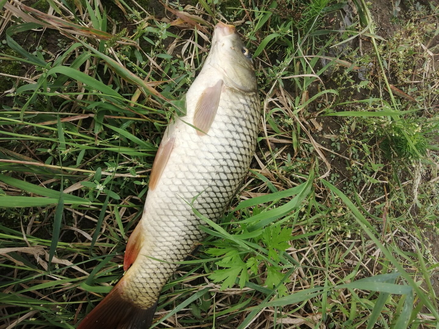 IMG_20250907_141451.jpg