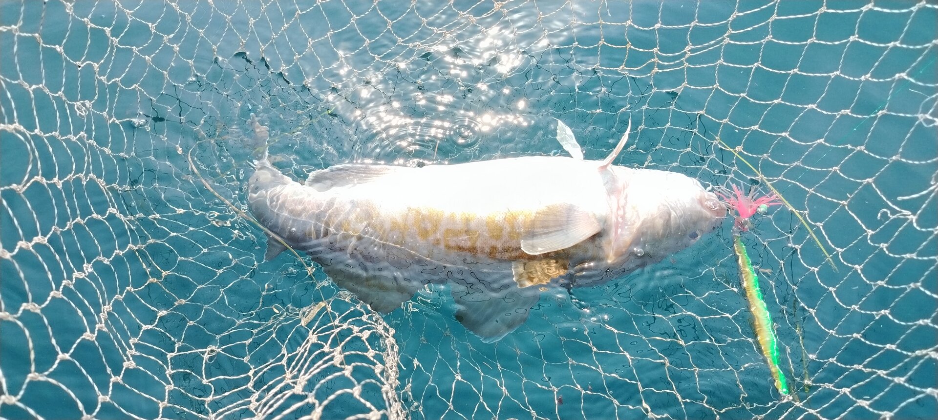 IMG_20250910_110212.jpg
