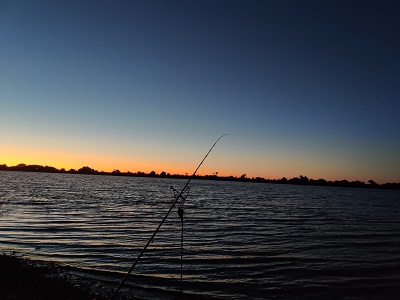 IMG_20250928_192035.jpg