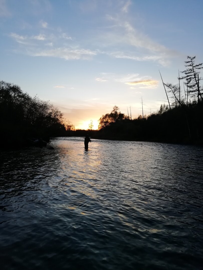 IMG_20250930_180916.jpg