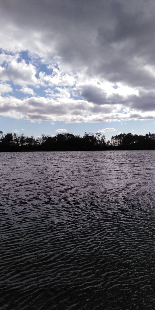 IMG_20251012_115144.jpg