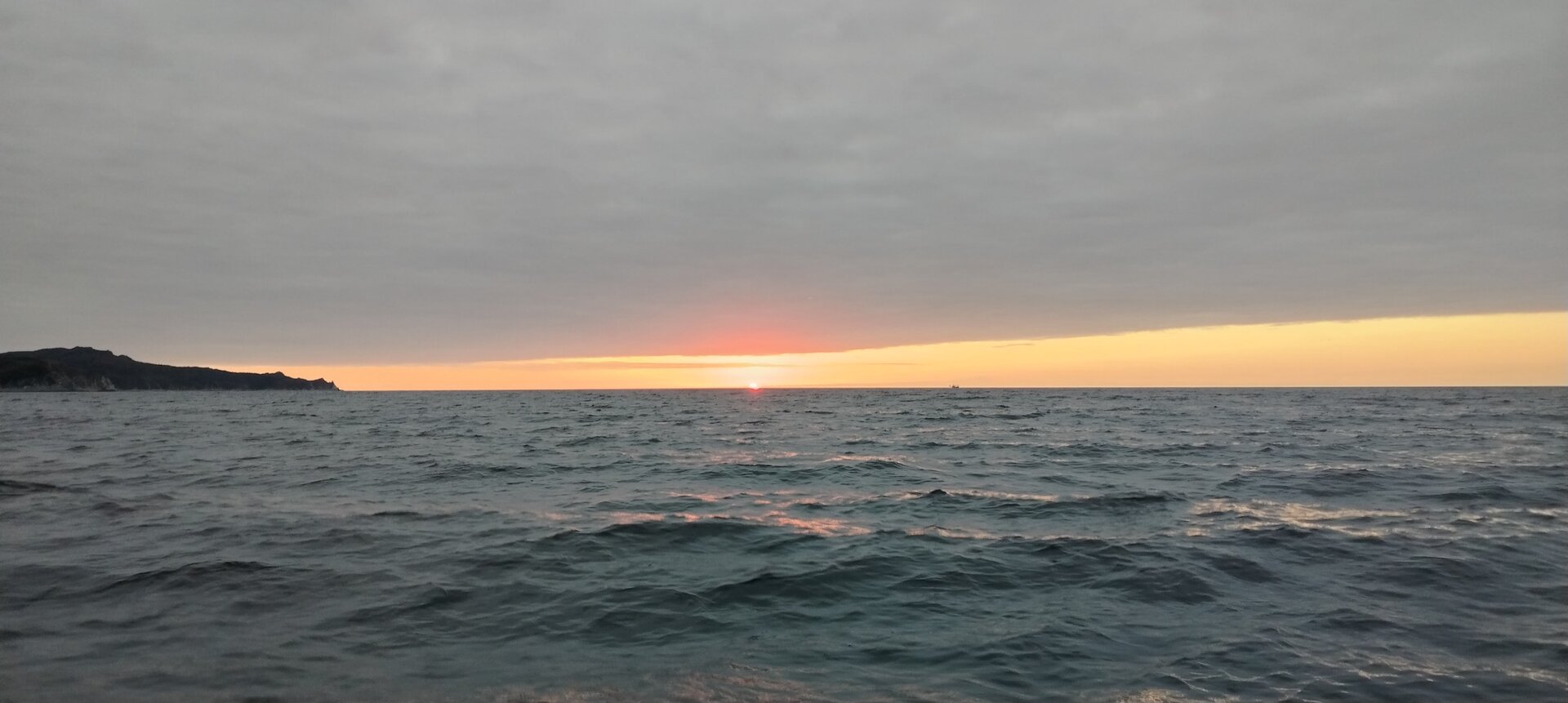 IMG_20251014_072019.jpg
