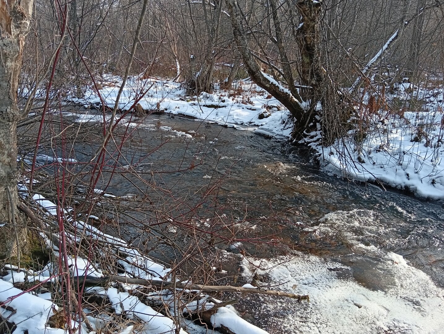 IMG_20251025_114155.jpg