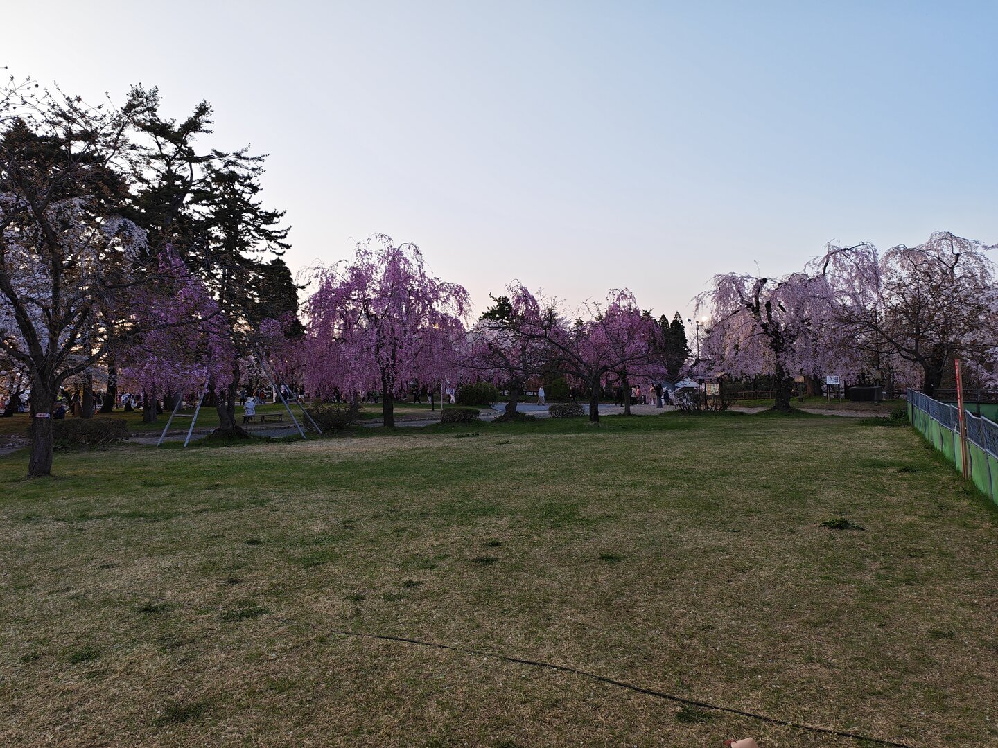 IMG_20260419_175904.jpg