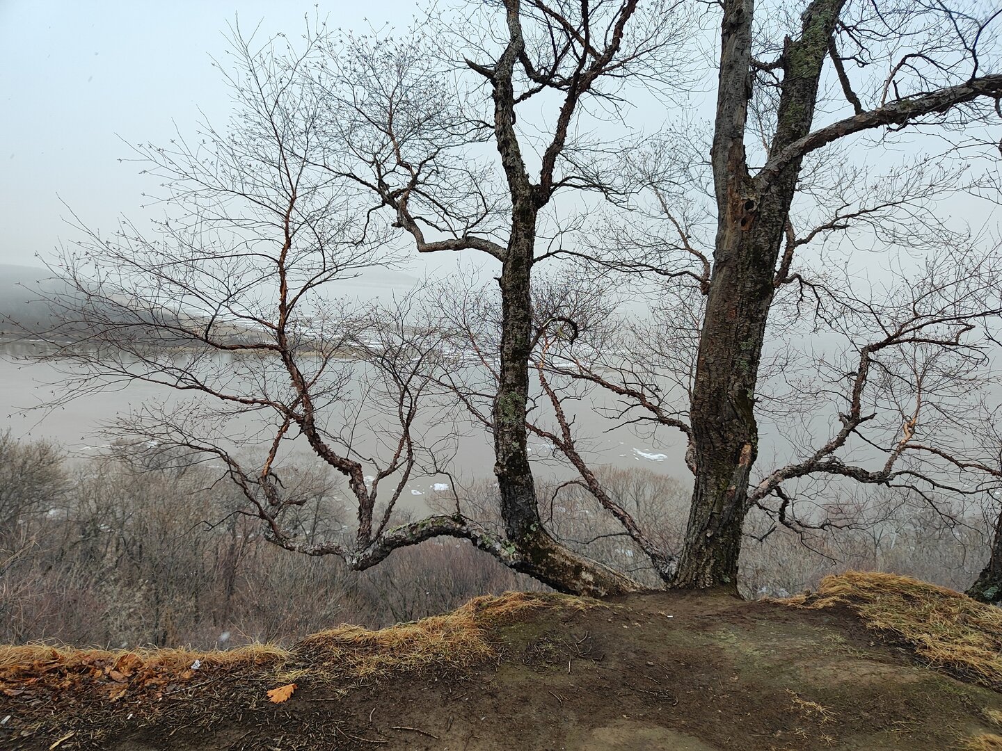 IMG_20260422_103548.jpg