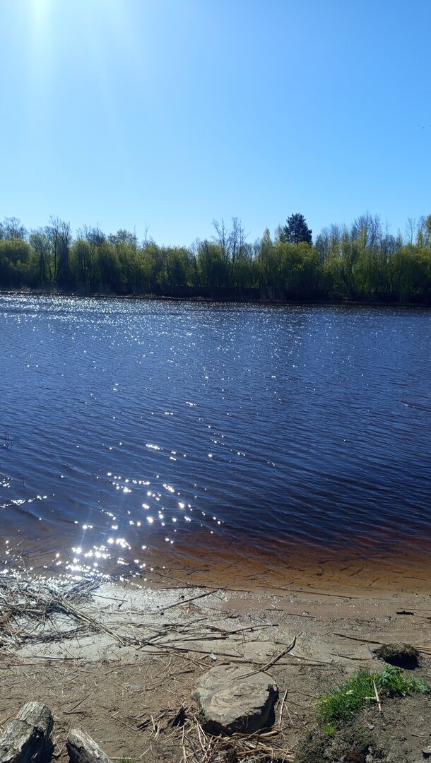 IMG_20260506_095830.jpg