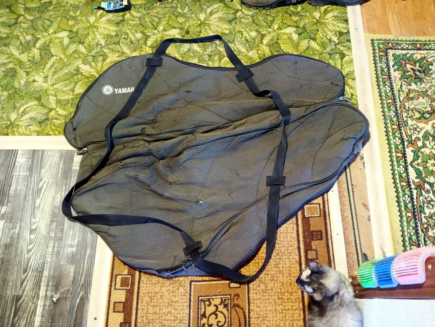 IMG_20260513_085639_569.jpg