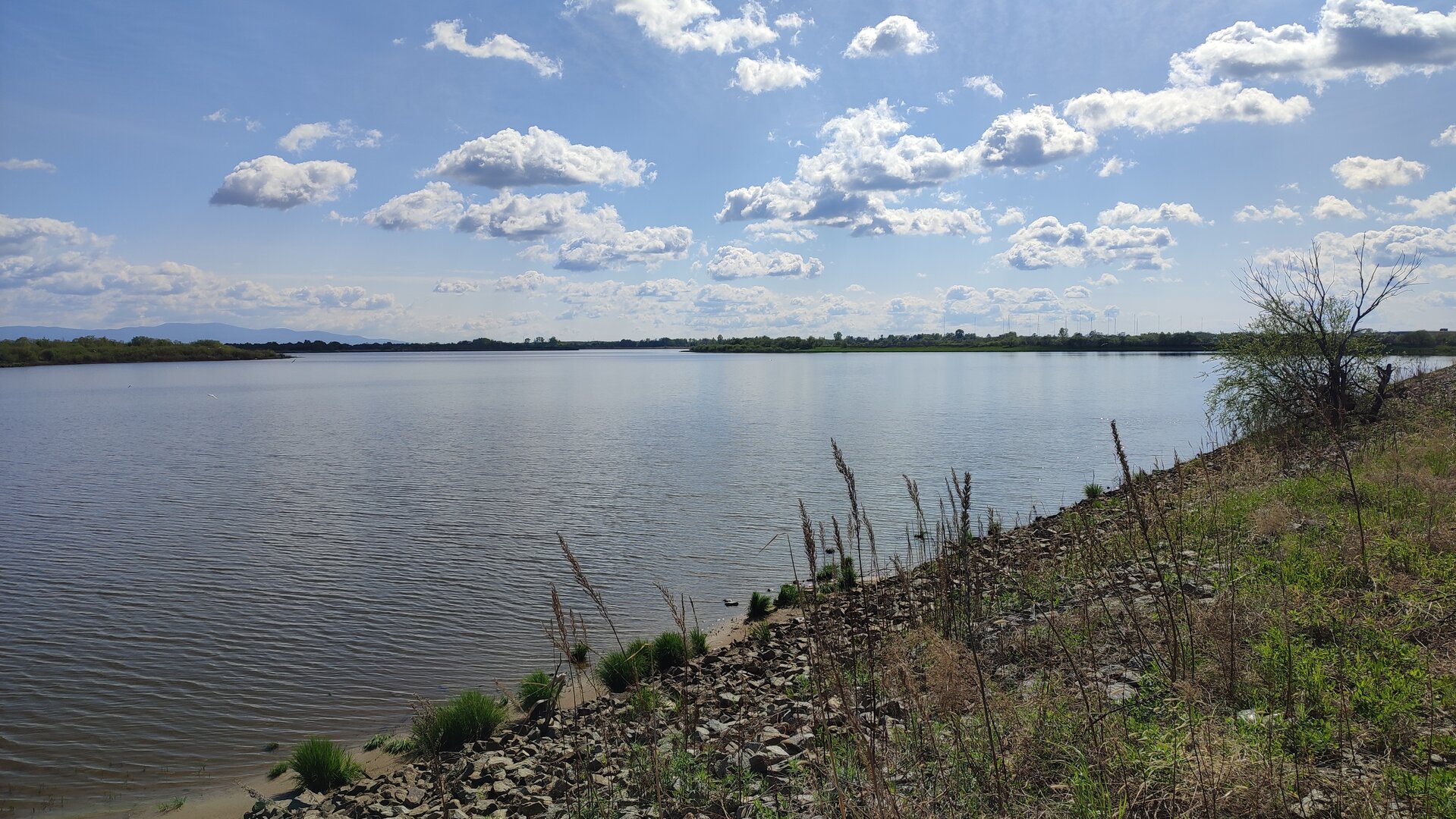 IMG_20260516_155904.jpg