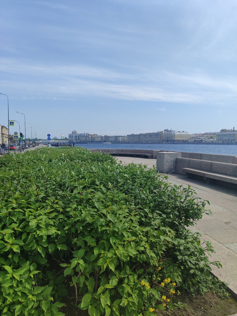 IMG_20260520_133432.jpg