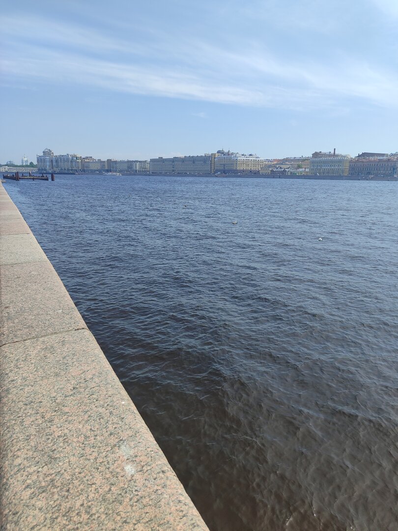 IMG_20260520_133536.jpg