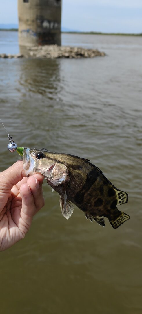 IMG_20260609_105627.jpg