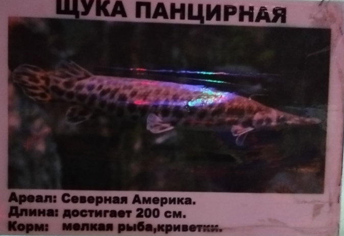IMG_20260612_224818.jpg