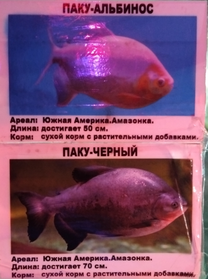 IMG_20260612_224907.jpg