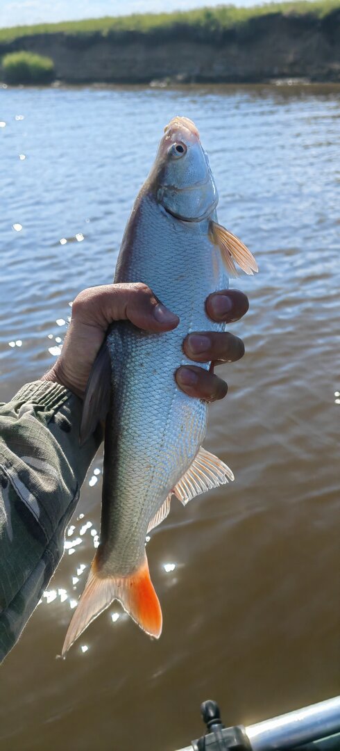 IMG_20260622_163824.jpg