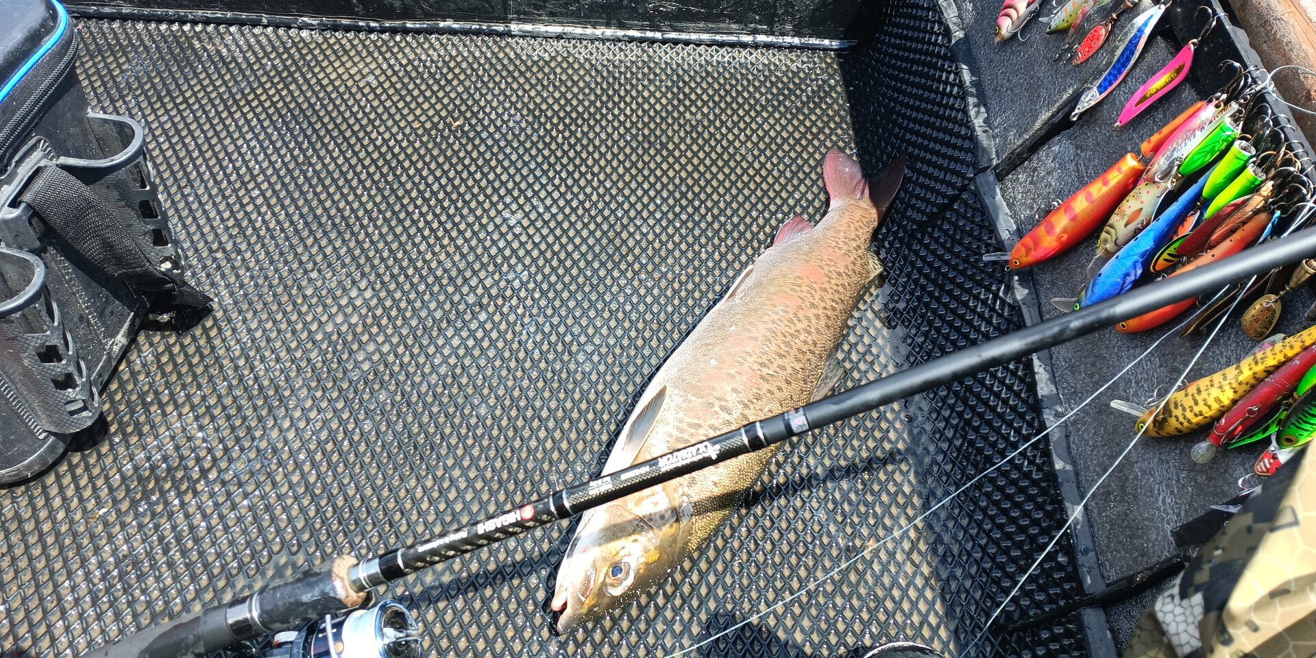 IMG_20260701_131113_114.jpg