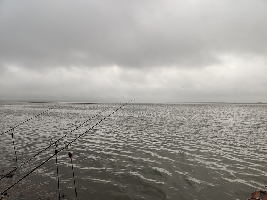 IMG_20260706_183458.jpg