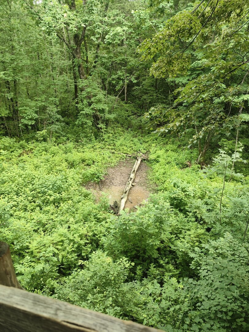 IMG_20260707_190638.jpg